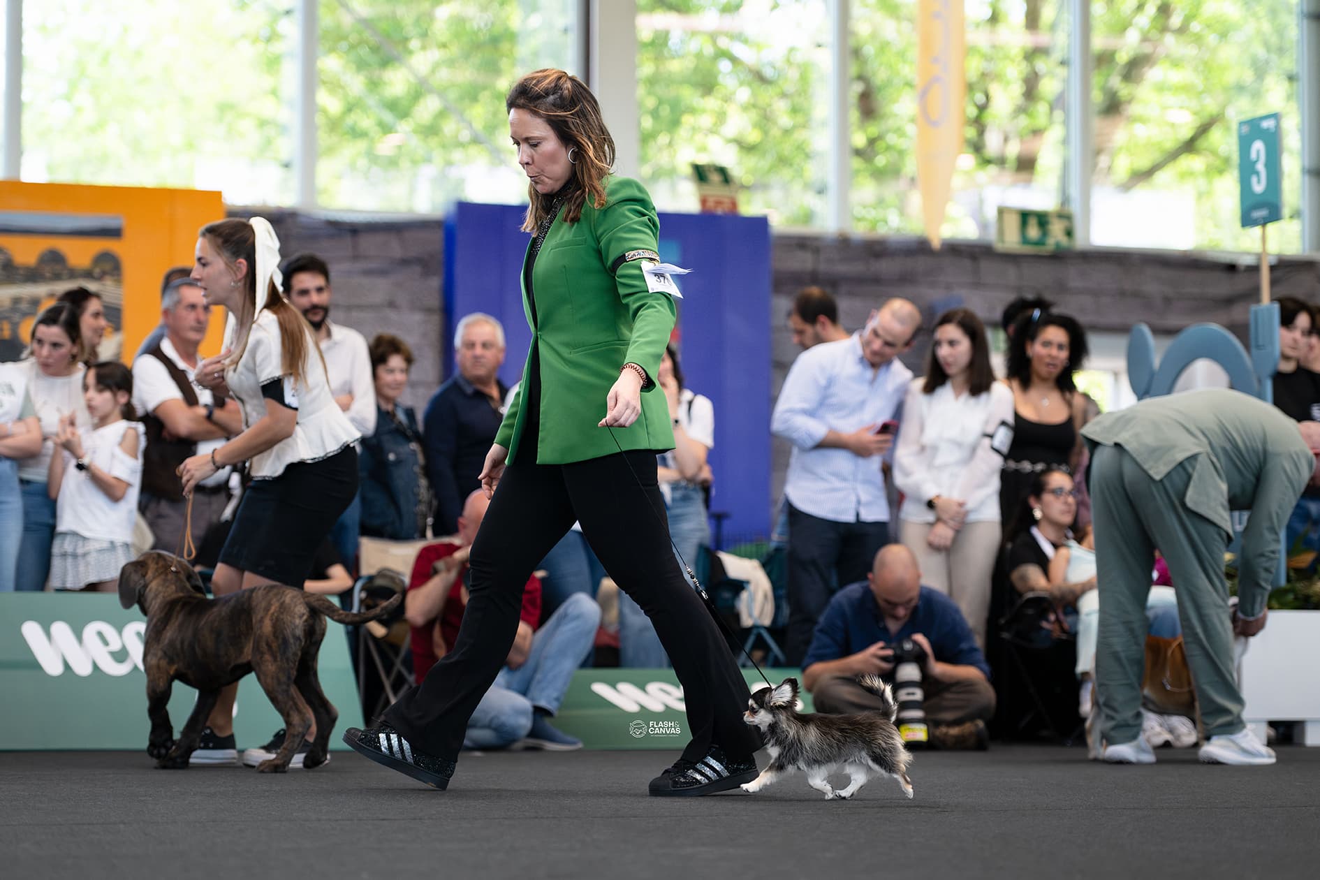 Heart & Spirit Kennel galeria
