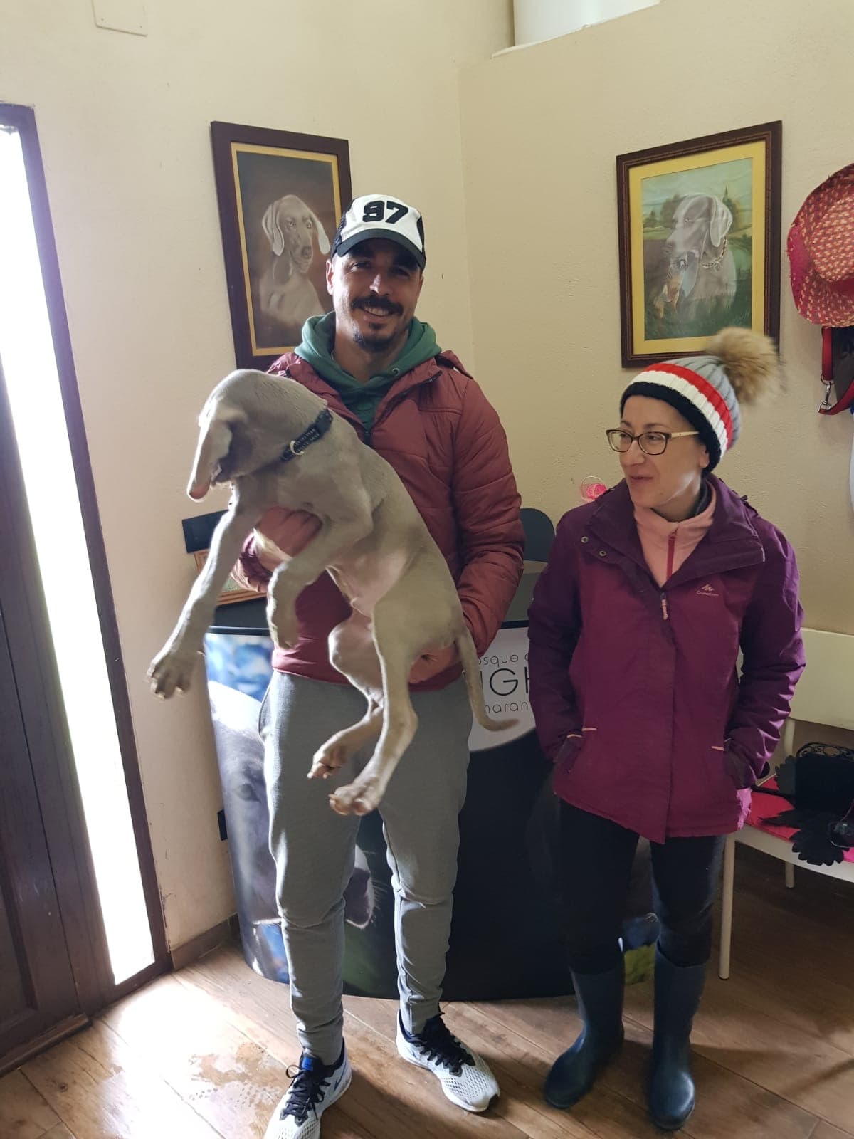 Romeu Silva, de Casa GreyCards - Weimaraners kennel
