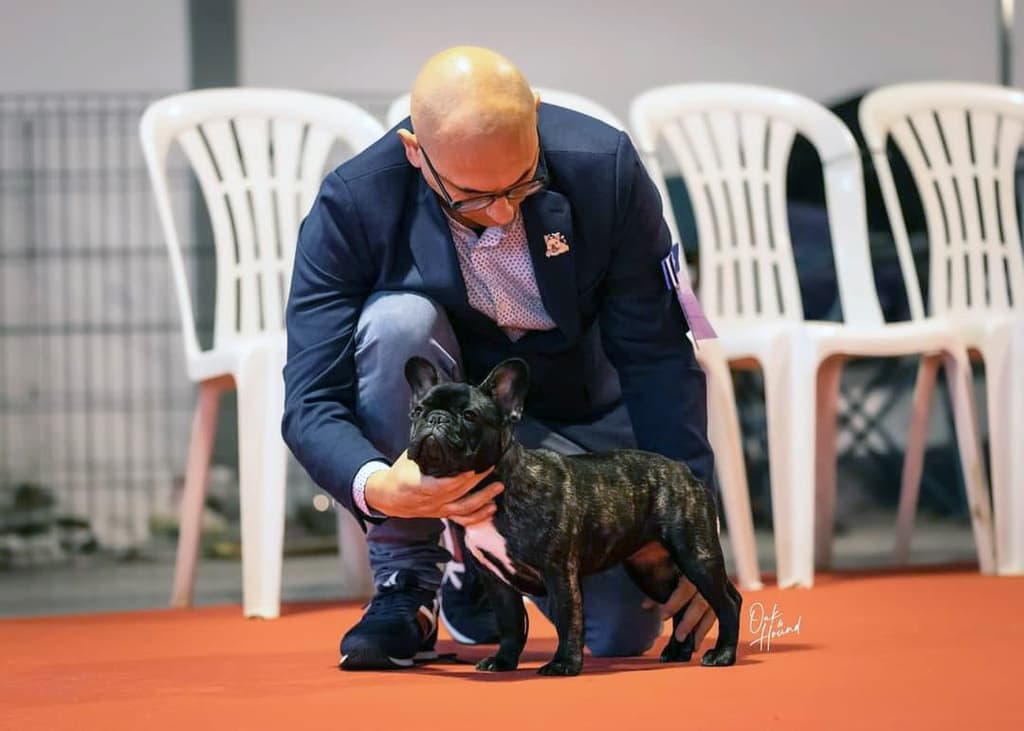 Progenitor Kissimmee dos Reis da Fonte 