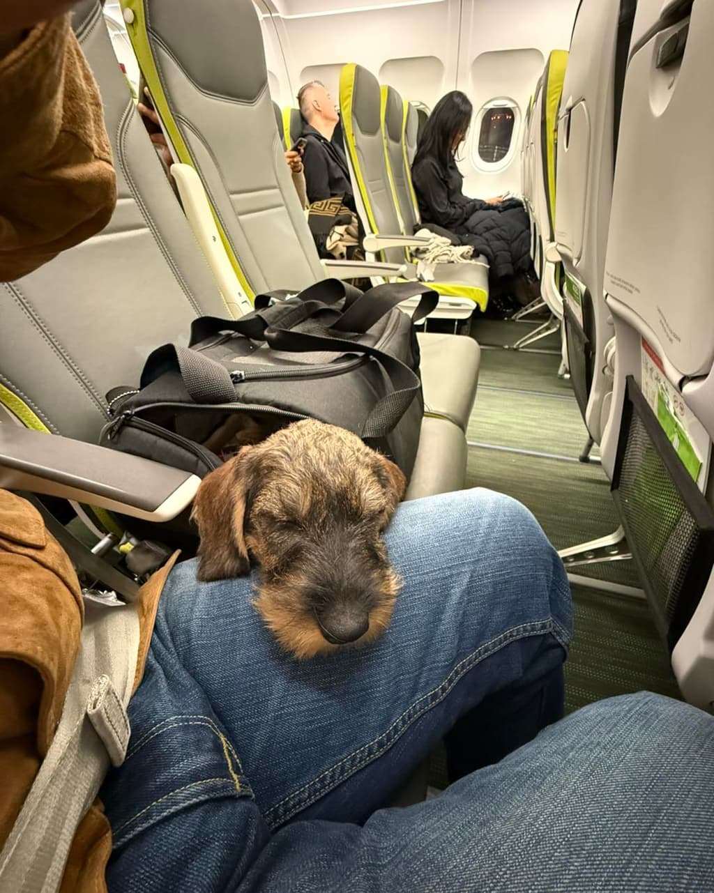 Los Kreismann galeria