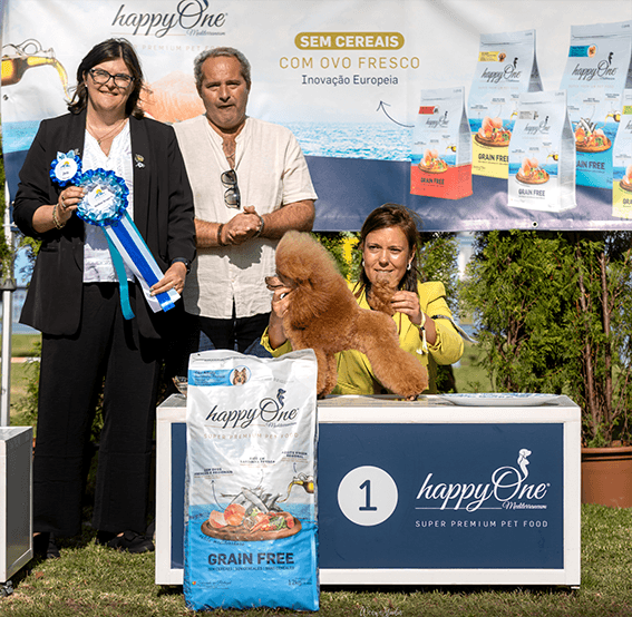 Heart & Spirit Kennel galeria