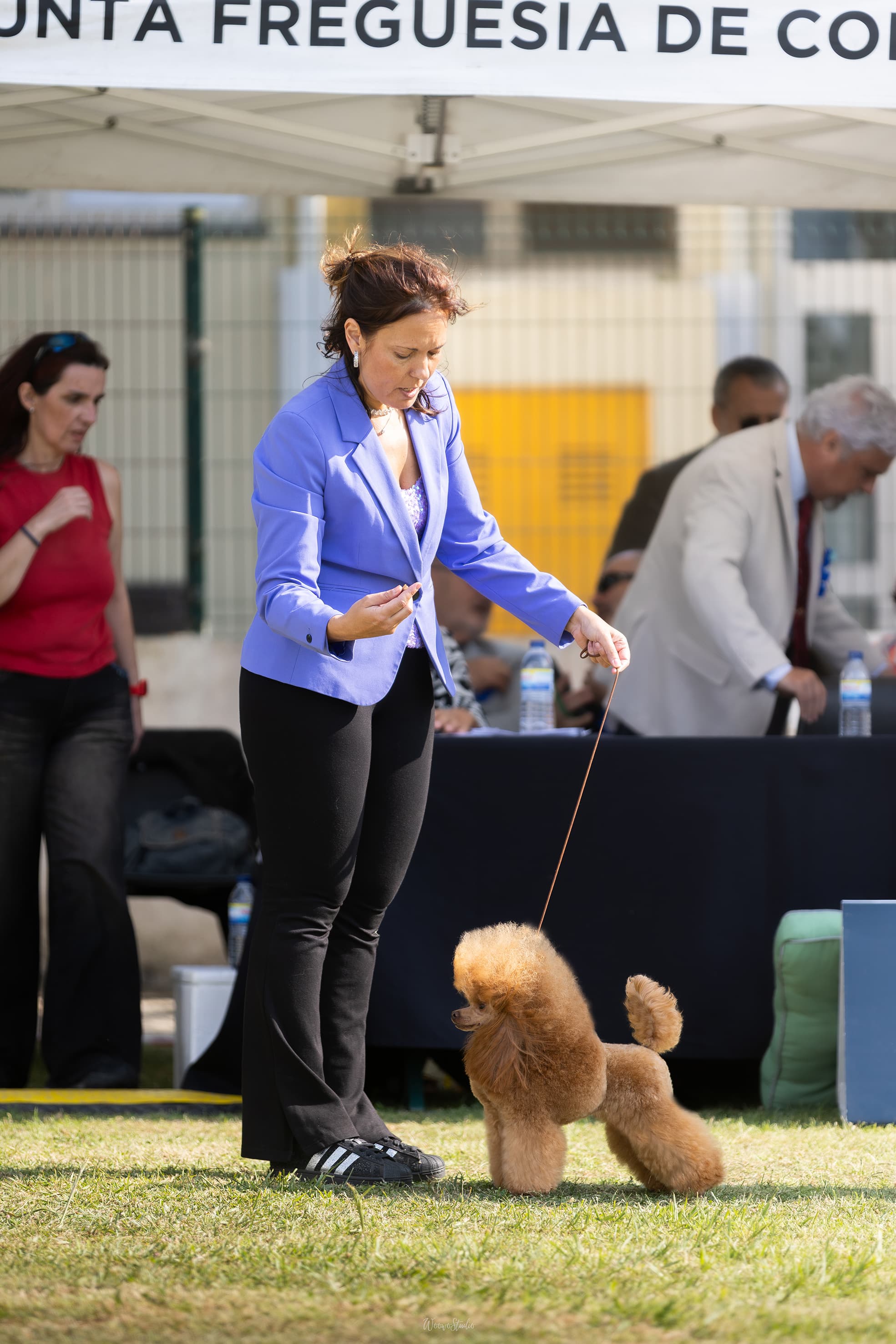 Heart & Spirit Kennel galeria