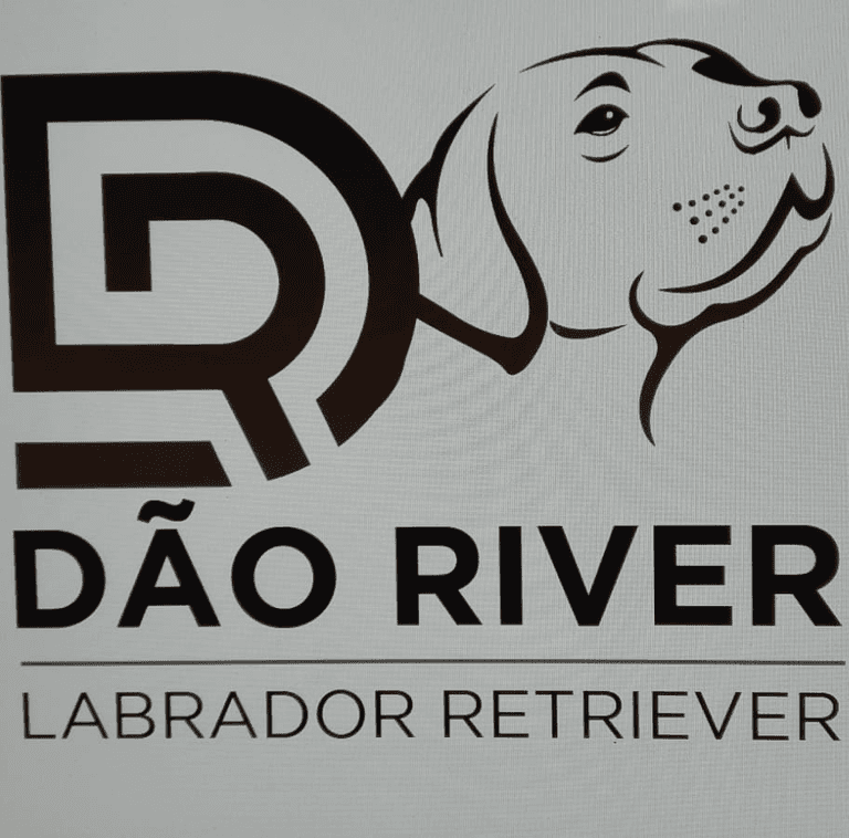 Logótipo de Dão River