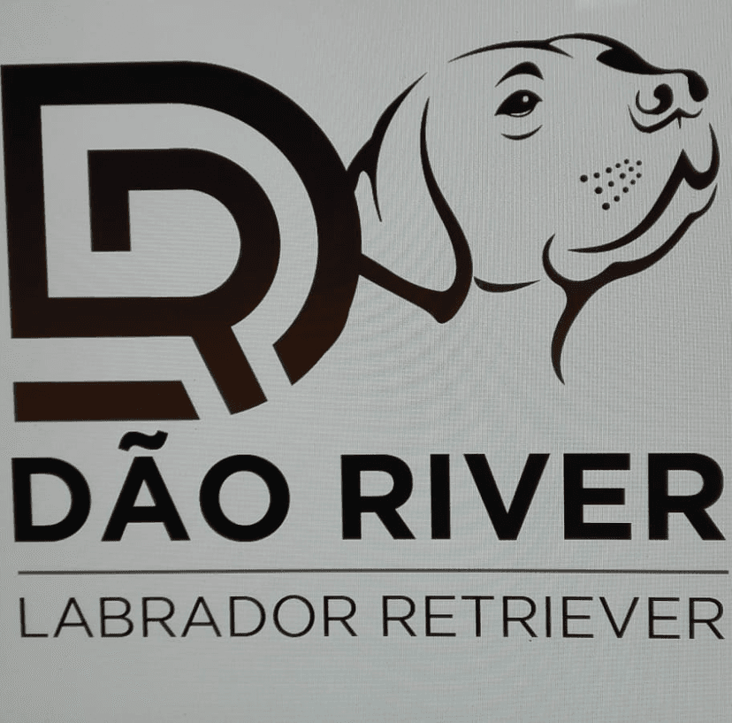 Dão River