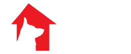 Domus Didacus logo
