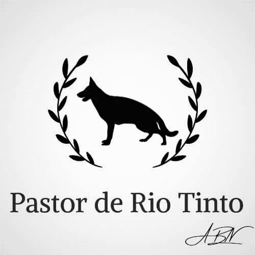 Pastor de Rio Tinto - Casa Camões logo