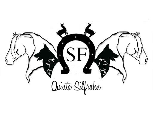 Quinta Silfrohn logo