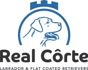 Logótipo de Real Côrte